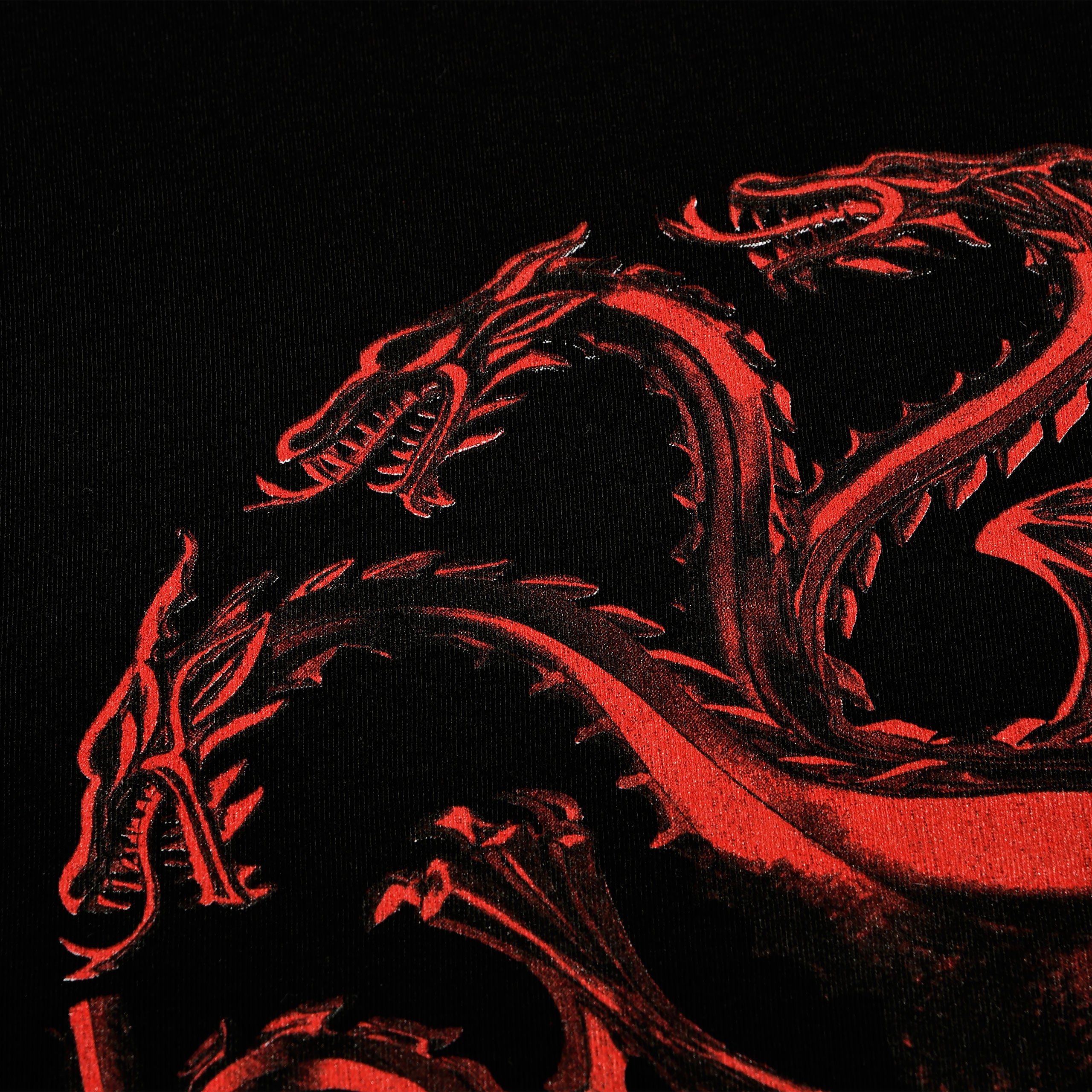Product image House of the Dragon - Logo T-Shirt black