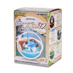 Product image Pokemon - Terrarium Collection Vol. 12 Mystery Minis Figure