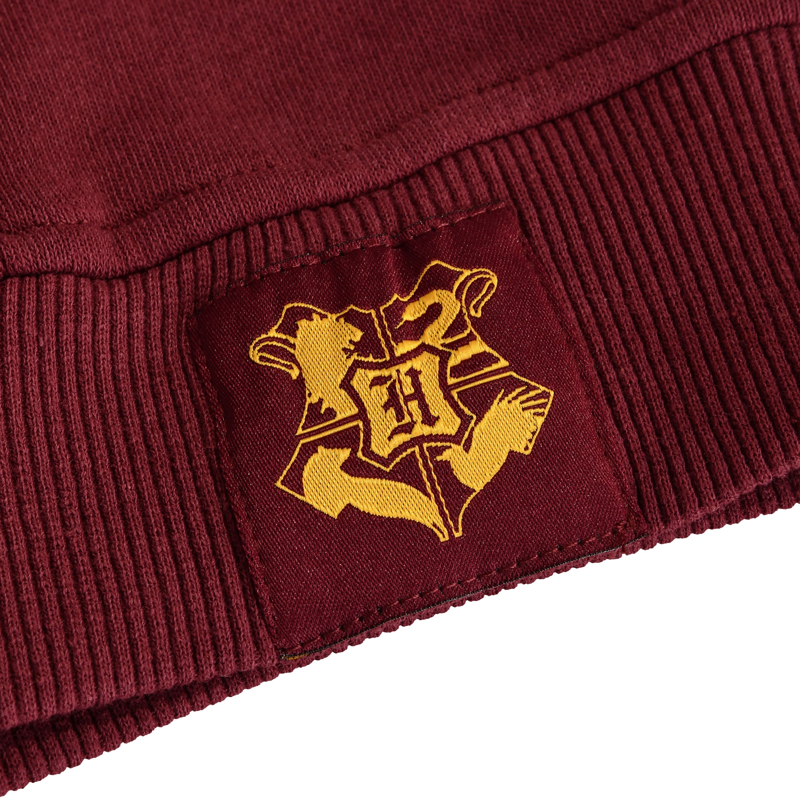 Product image Harry Potter - Gryffindor Crest Hoodie Red