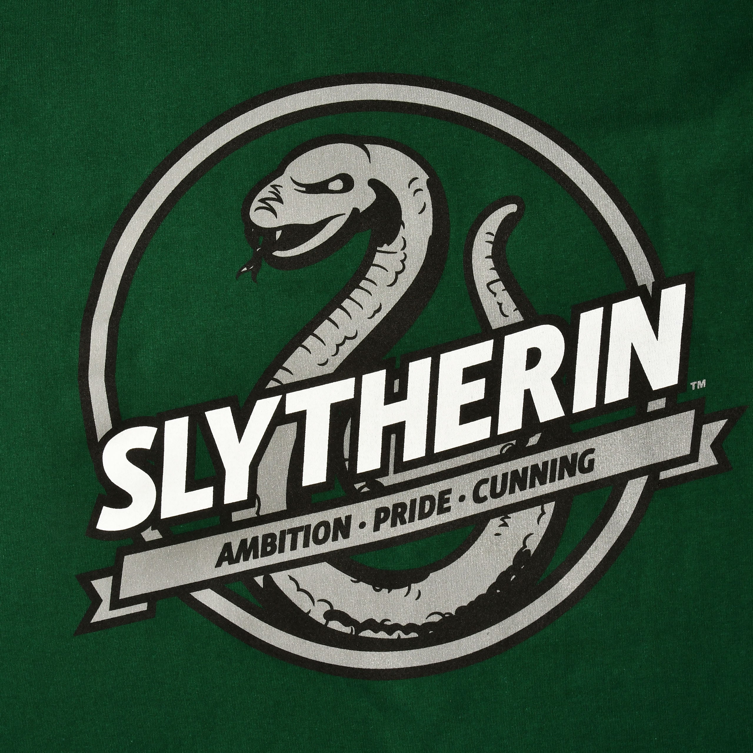 Product image Slytherin House Values T-Shirt green - Harry Potter