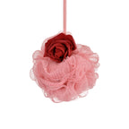 Product image Beauty and the Beast - Belle Bath Sponge