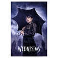 Product image Wednesday - Downpour Teaser Maxi Poster
