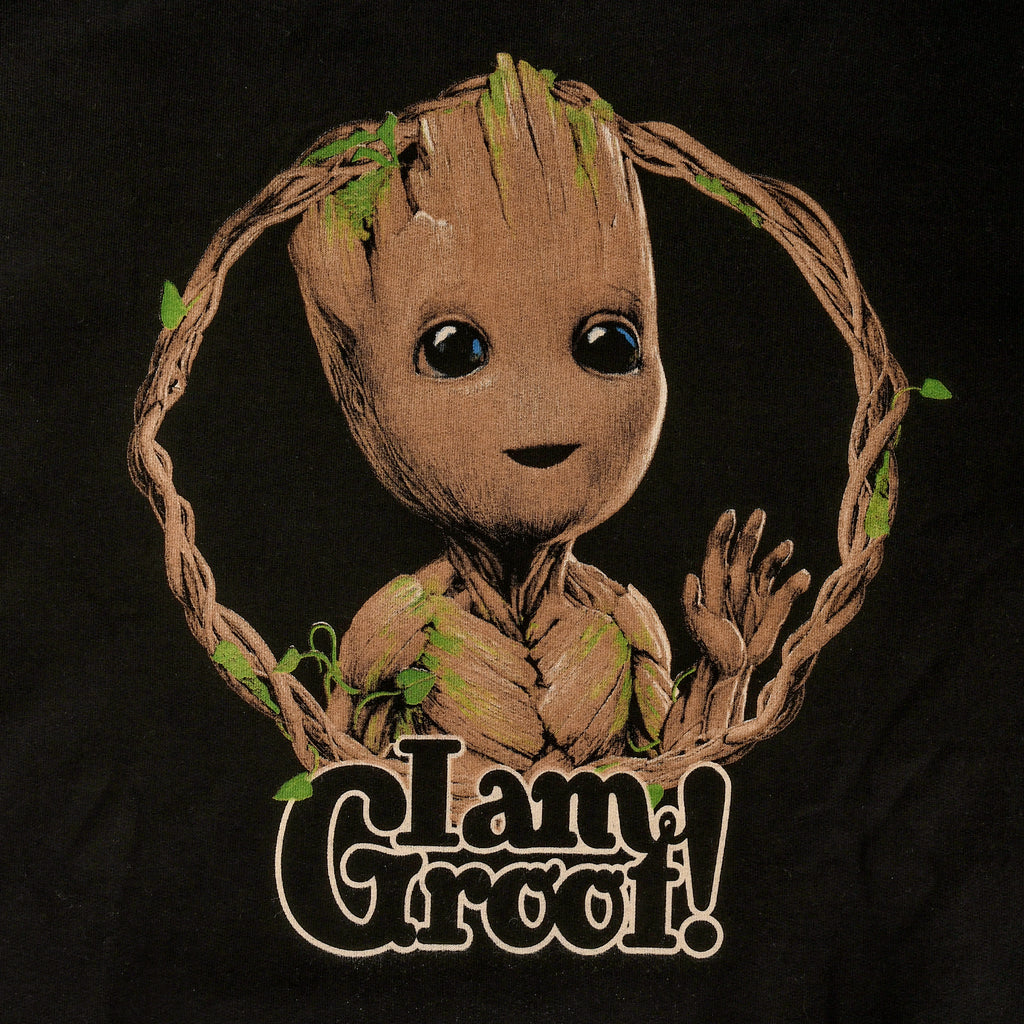 Product image Guardians of the Galaxy - I Am Groot Hoodie Black