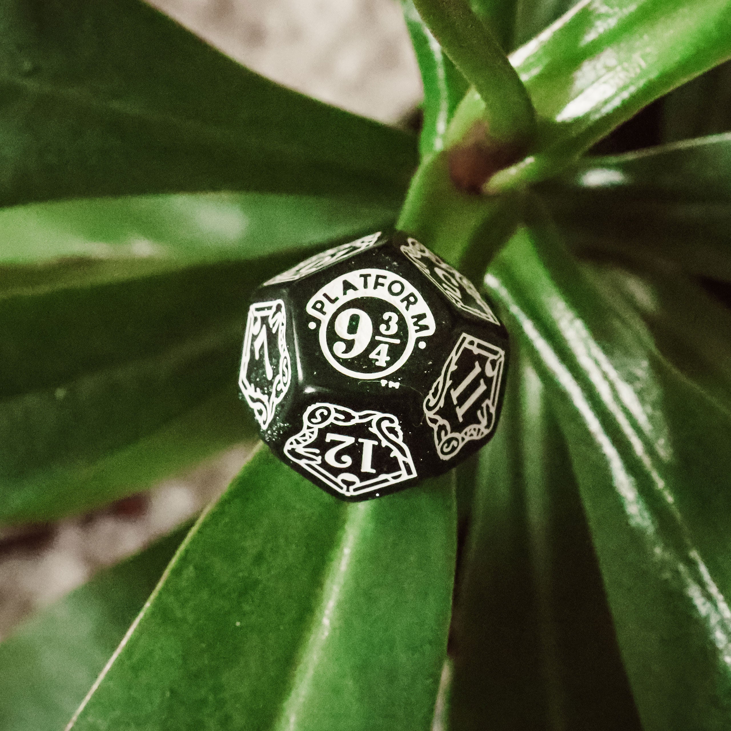 Product image Harry Potter - Slytherin RPG Dice Set 7pc Green