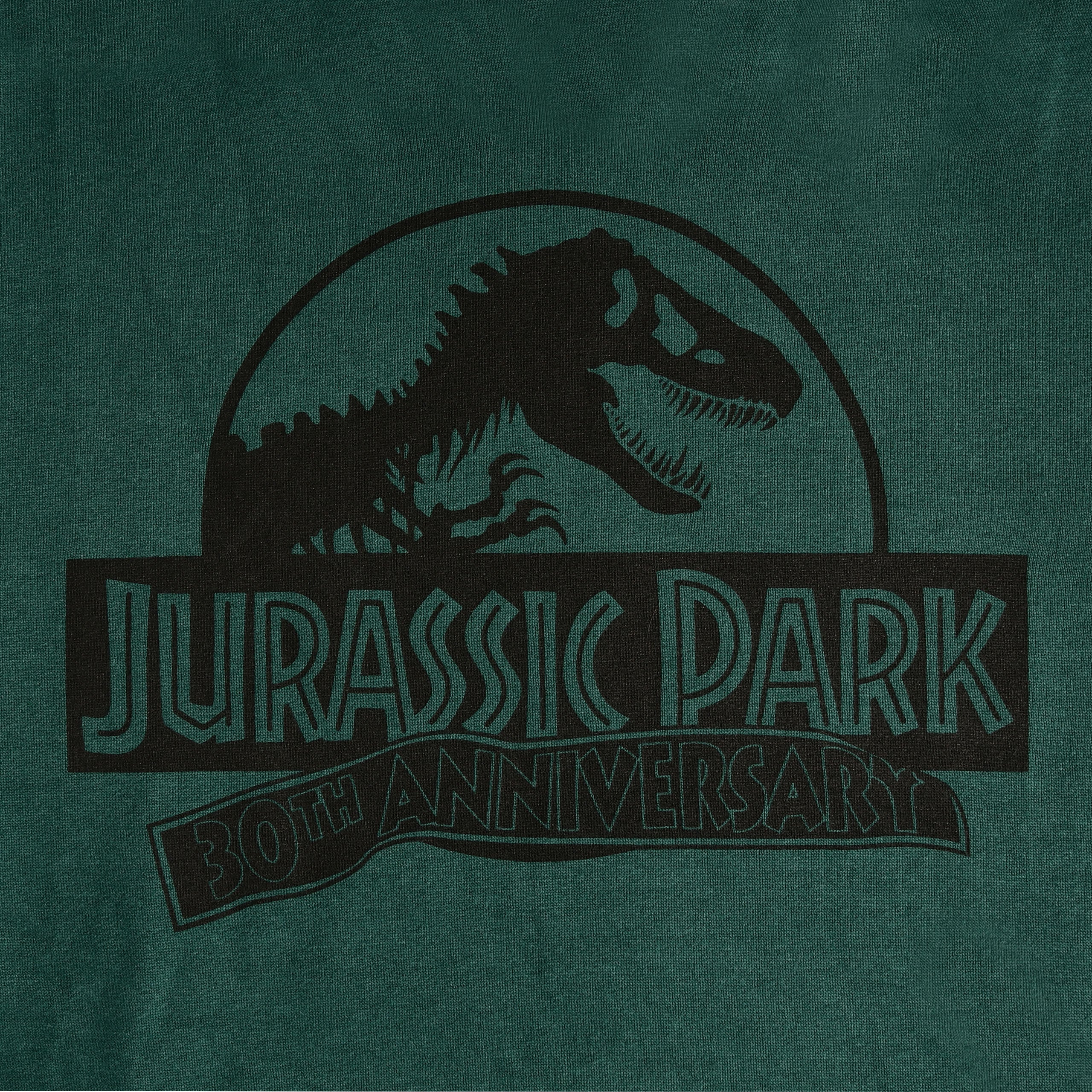 Product image Jurassic Park - Isla Nublar Hoodie Green