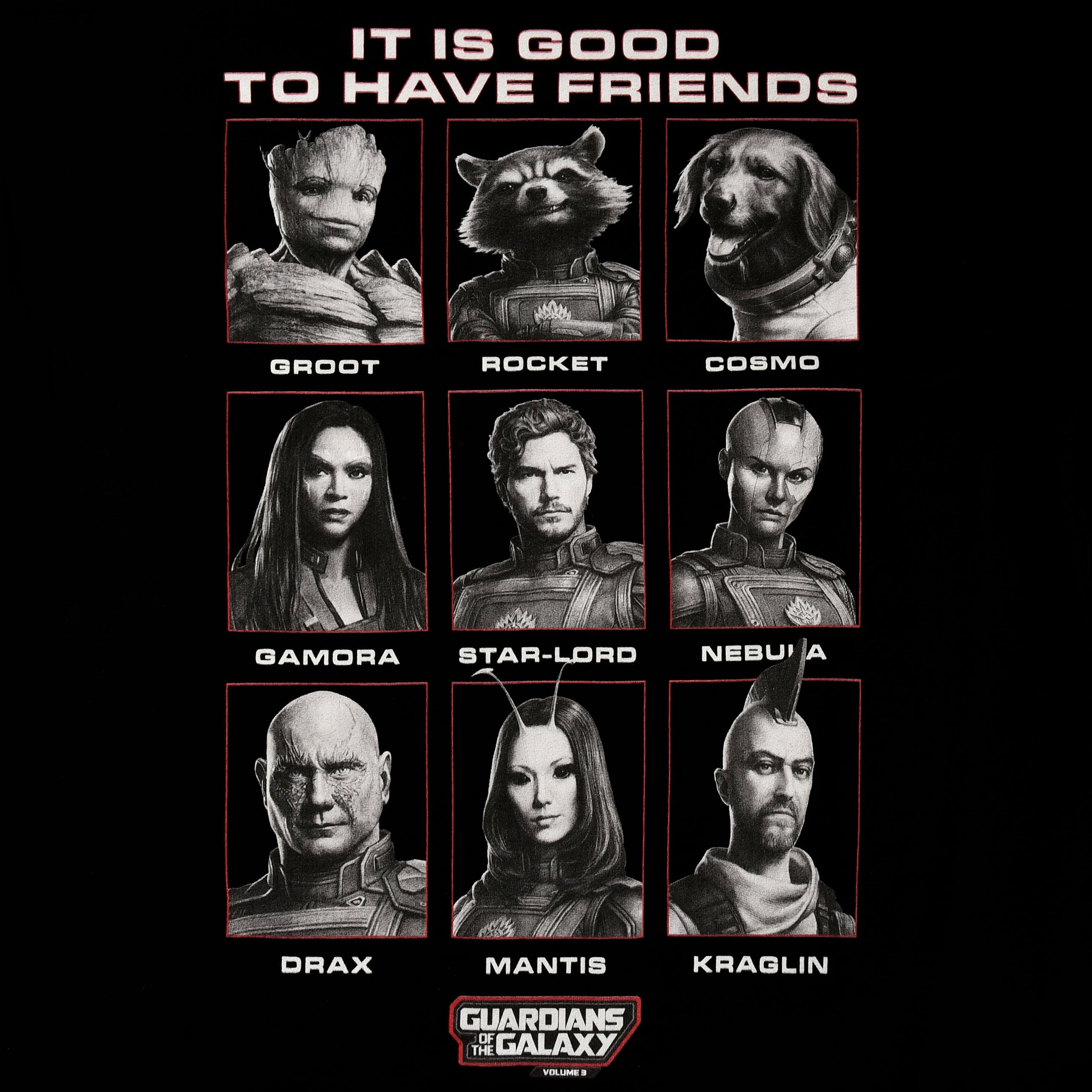 Product image Guardians of the Galaxy - Good Friends T-Shirt black