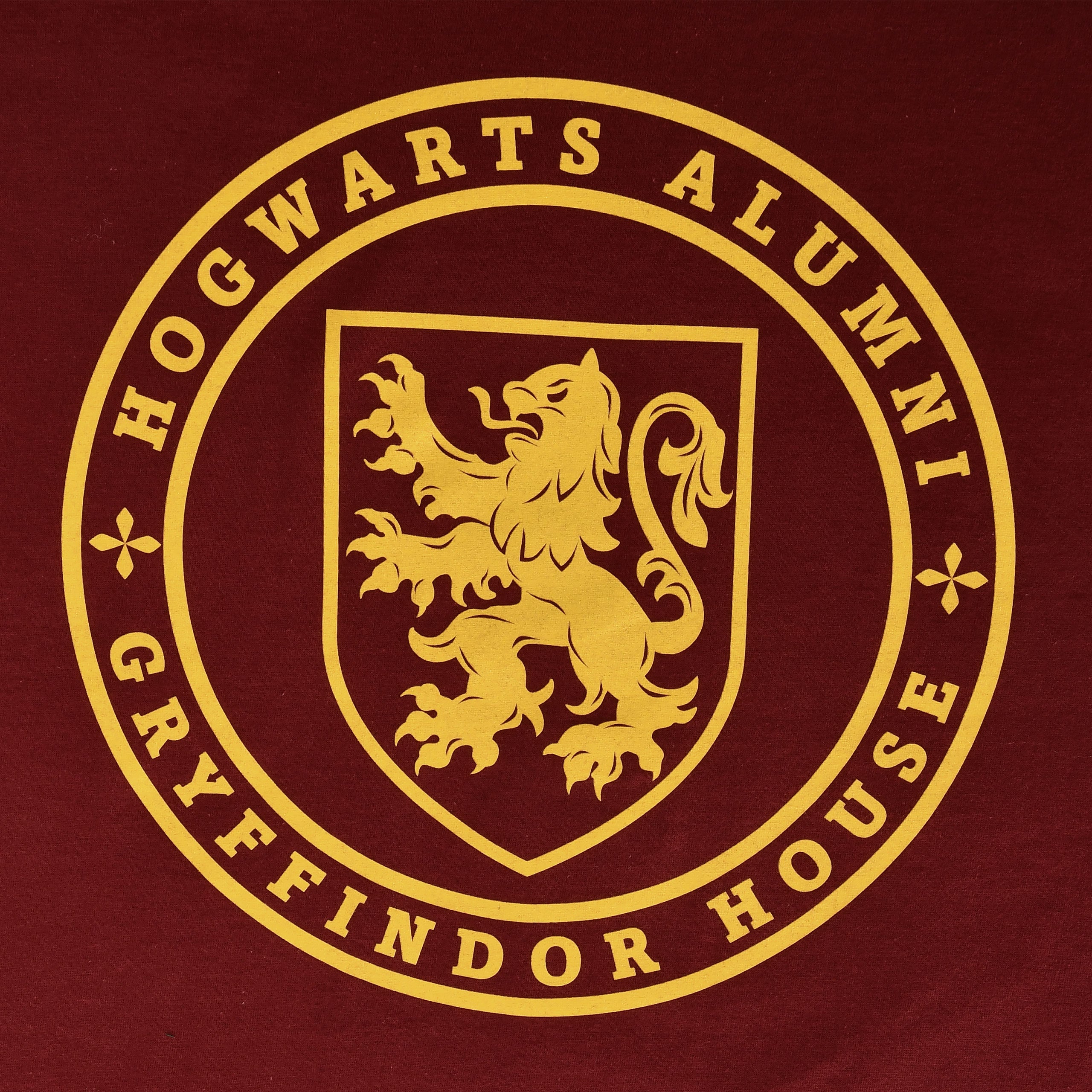 Product image Gryffindor Hogwarts Alumni T-Shirt Red - Harry Potter
