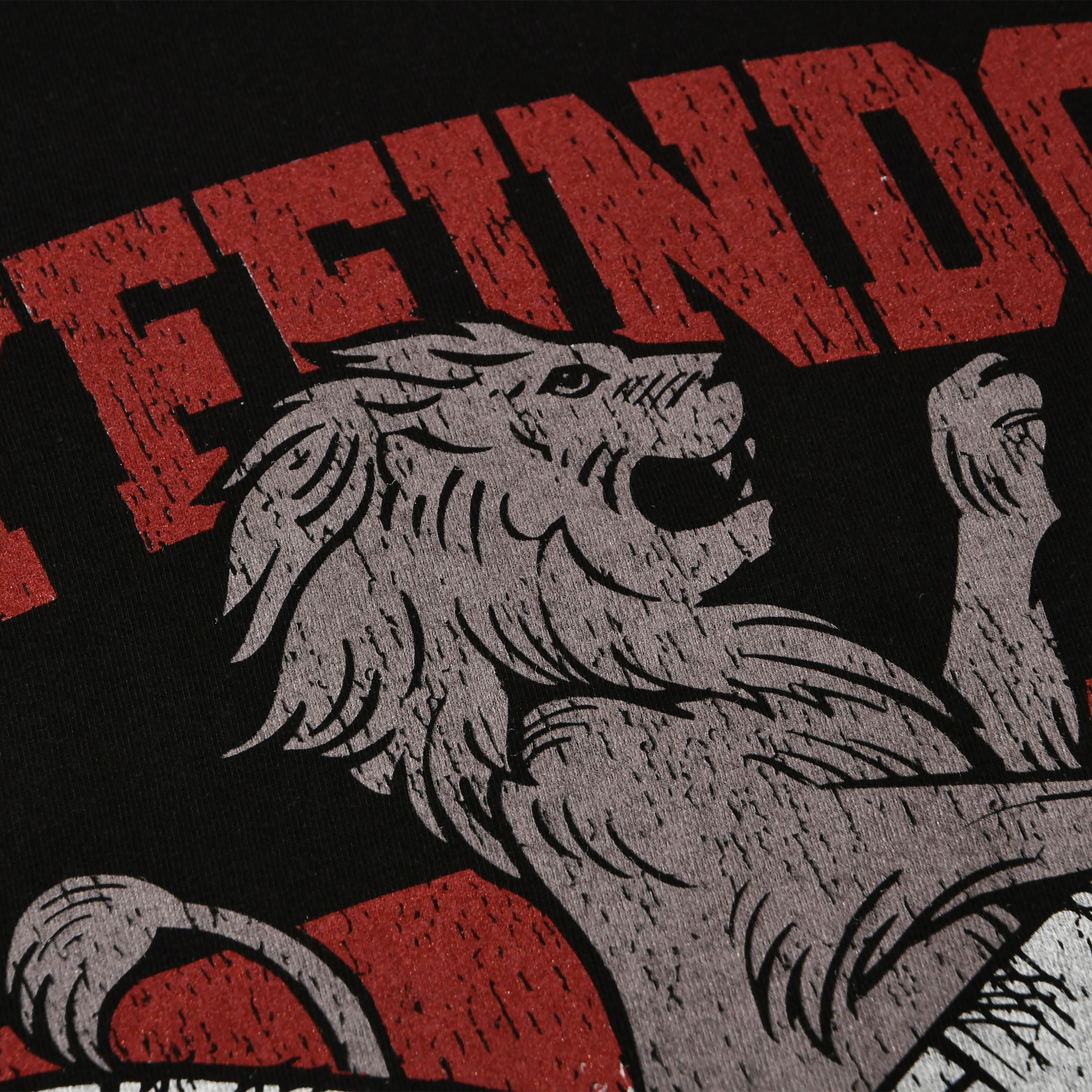 Product image Gryffindor Quidditch College T-Shirt Black - Harry Potter
