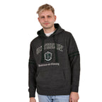 Product image Harry Potter - Slytherin Crest Premium Hoodie grey