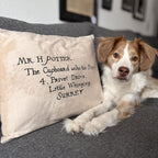 Product image Harry Potter - Hogwarts Letter Pillow