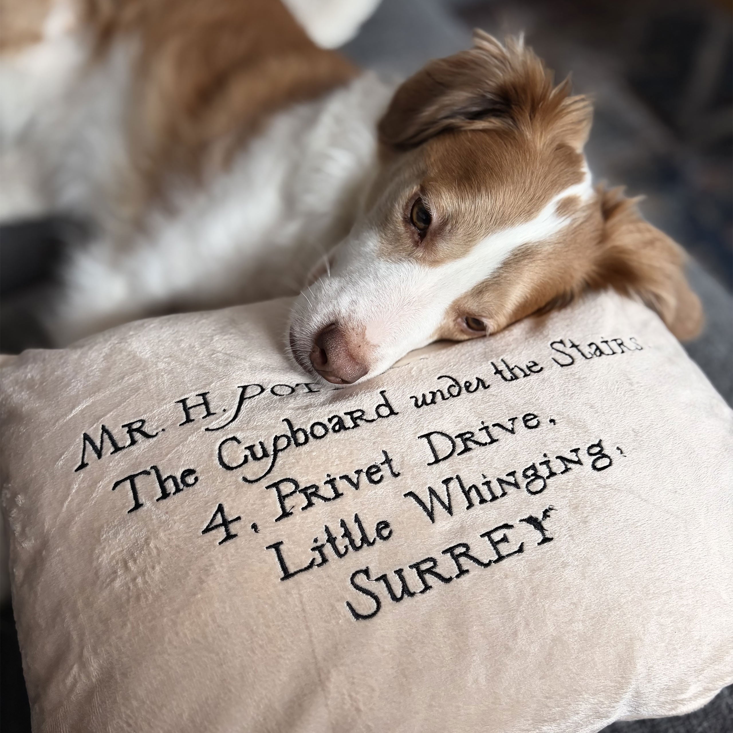 Product image Harry Potter - Hogwarts Letter Pillow