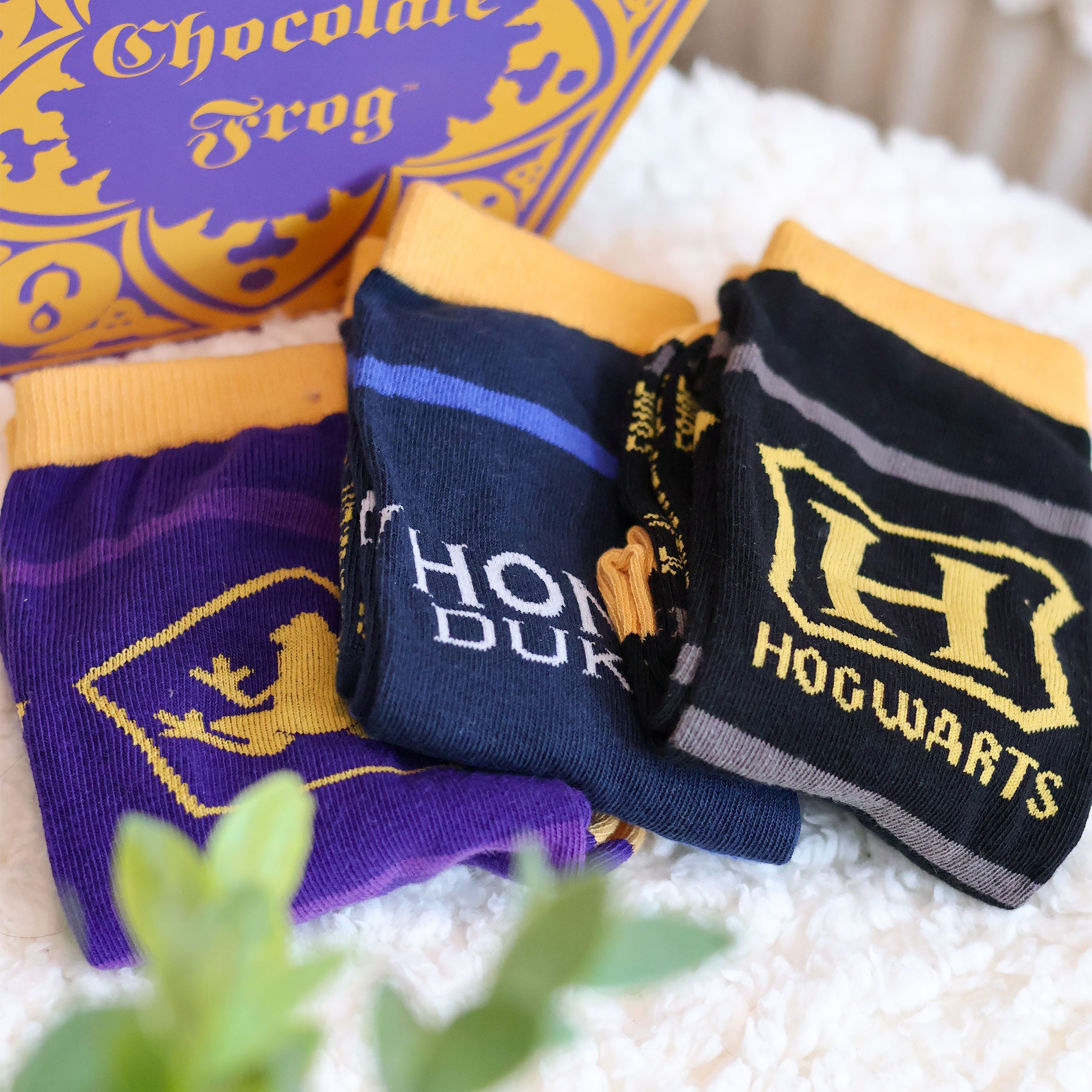 Product image Harry Potter - 3 Pair Socks Set in Chocolate Frog Box