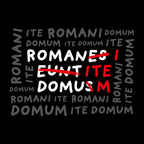 Product image Romani Ite Domum T-Shirt for Monty Python Fans