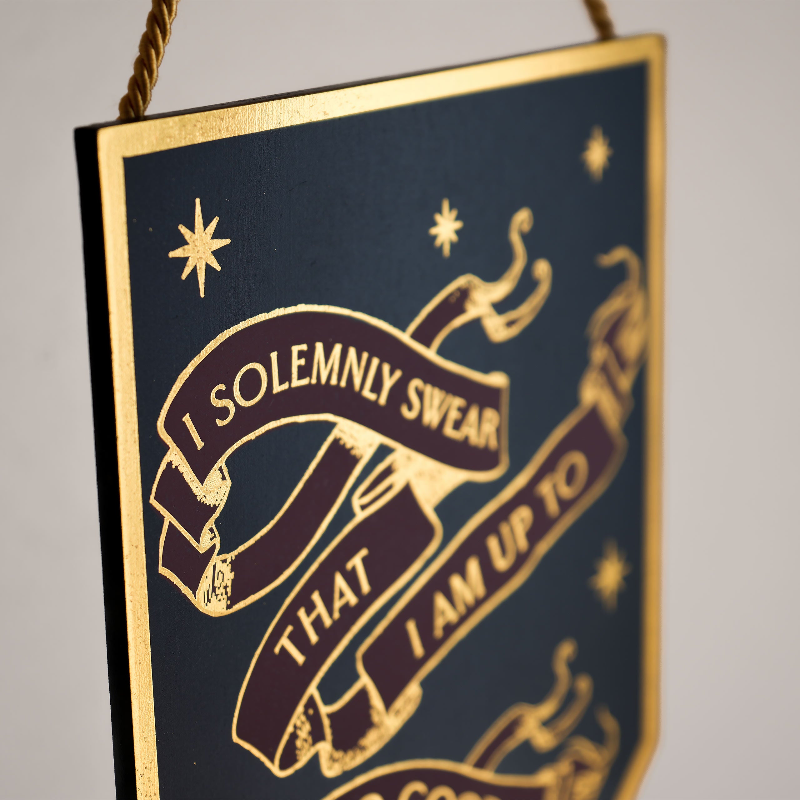 Product image Harry Potter - I Solemnly Swear Alumni Wooden Wall Sign