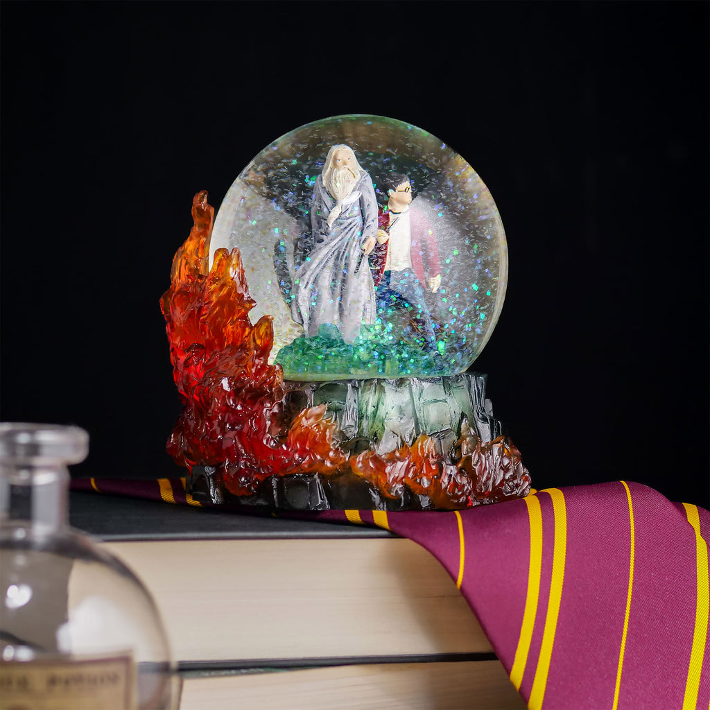 Product image Harry Potter with Dumbledore Snow Globe