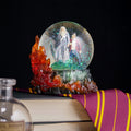 Product image Harry Potter with Dumbledore Snow Globe