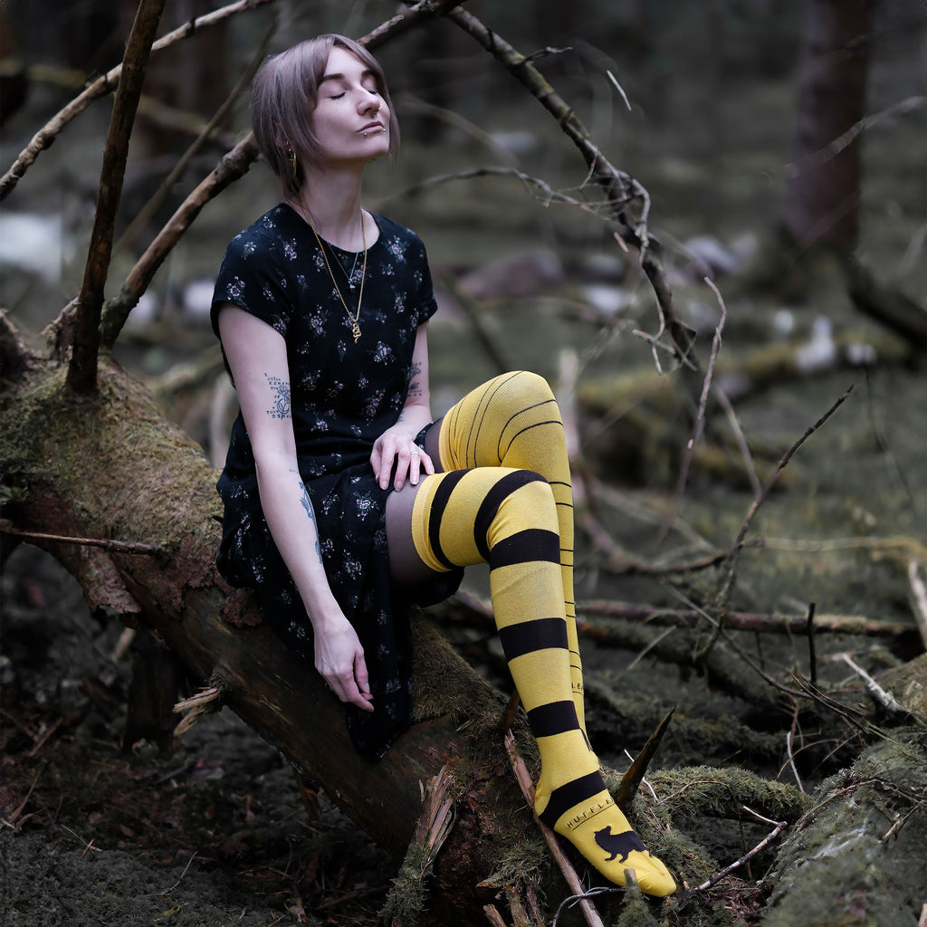 Product image Harry Potter - Hufflepuff Overknee Socks 2-Pack