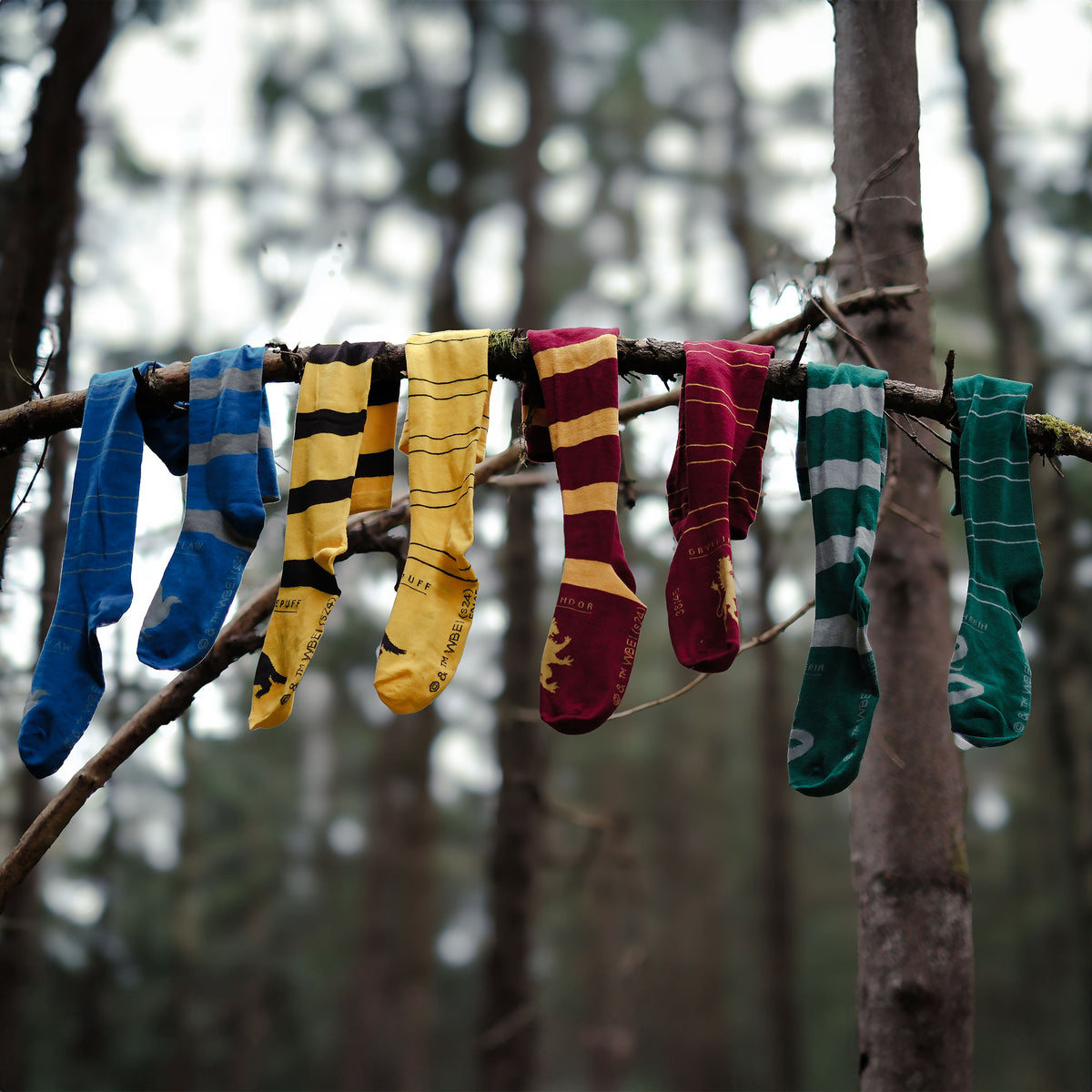 Product image Harry Potter - Hufflepuff Overknee Socks 2-Pack