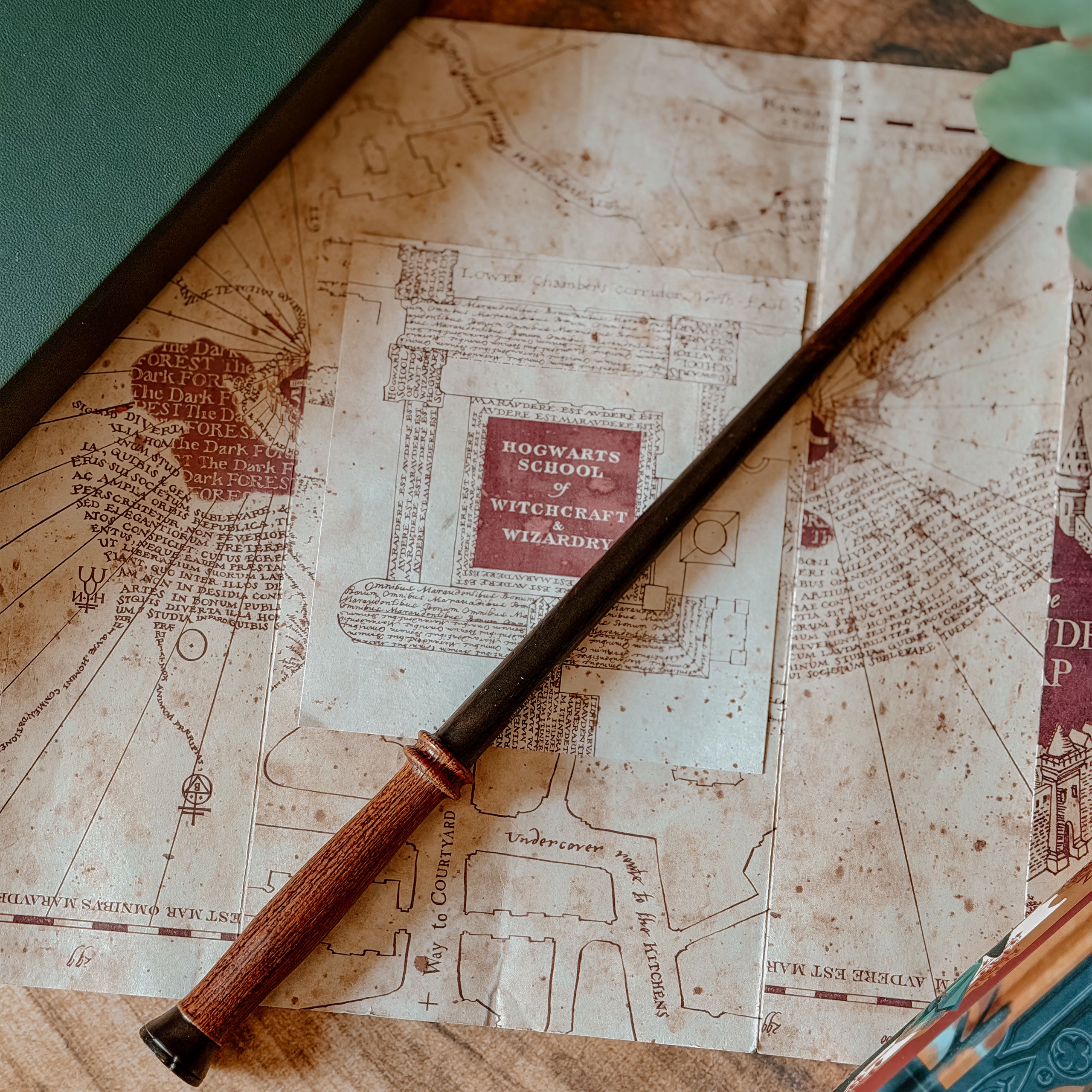 Product image Harry's First Wand - Harry Potter First Wands Collection