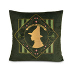 Product image Wicked - Elphaba and Glinda Reversible Pillow