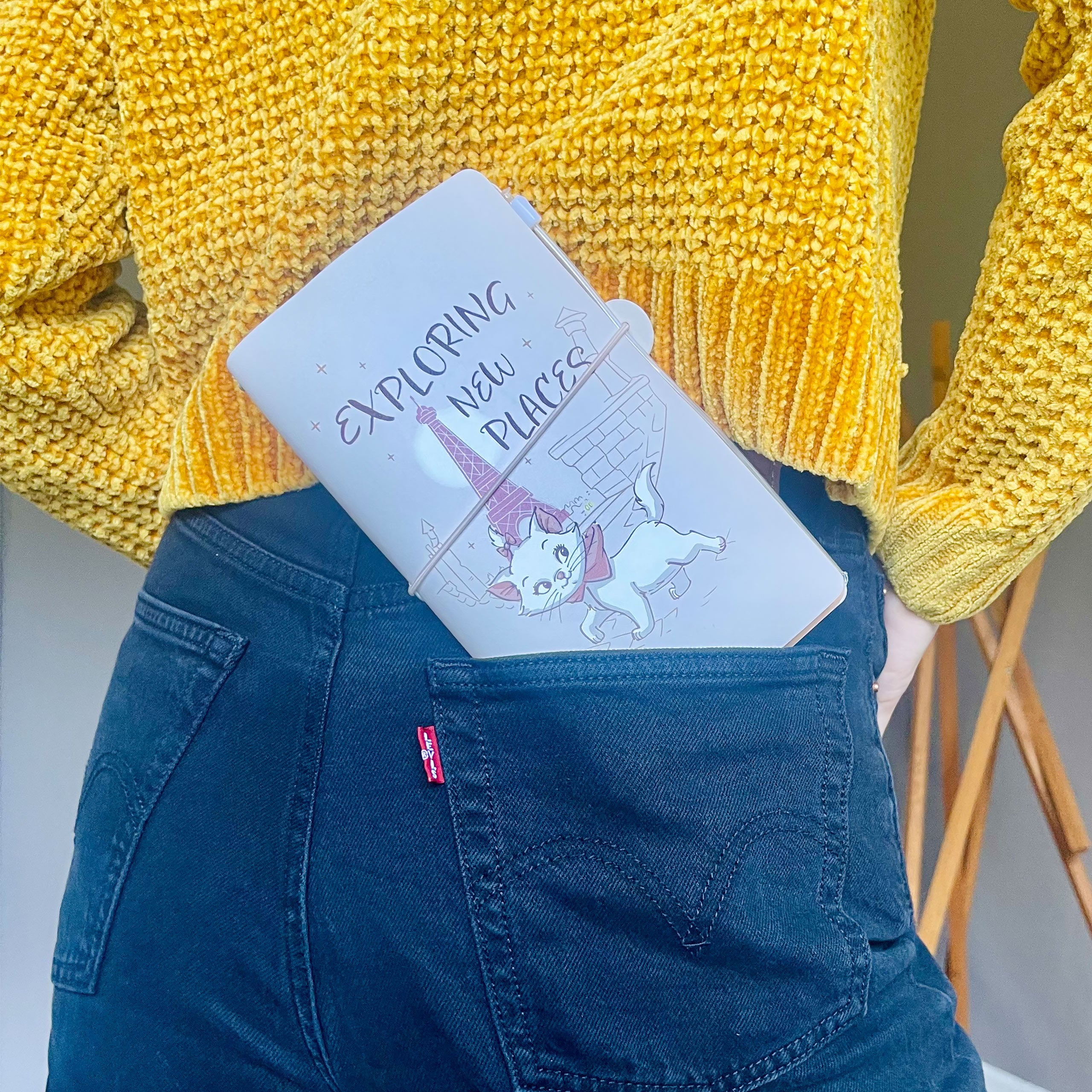 Product image Aristocats - Bonjour Marie Notebook