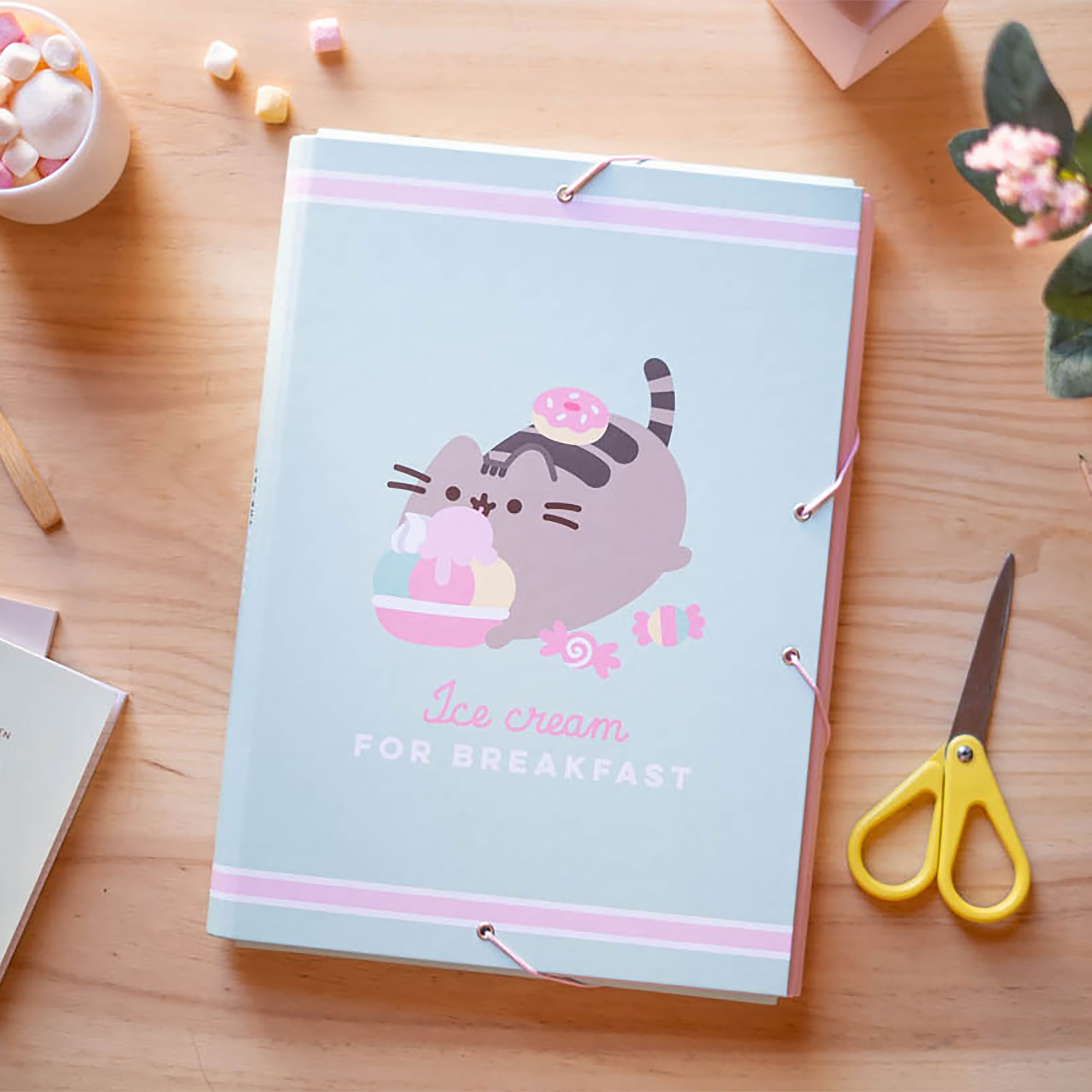 Product image Pusheen - Ice cream Document Folder