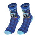 Product image Harry Potter - Ravenclaw House Socks