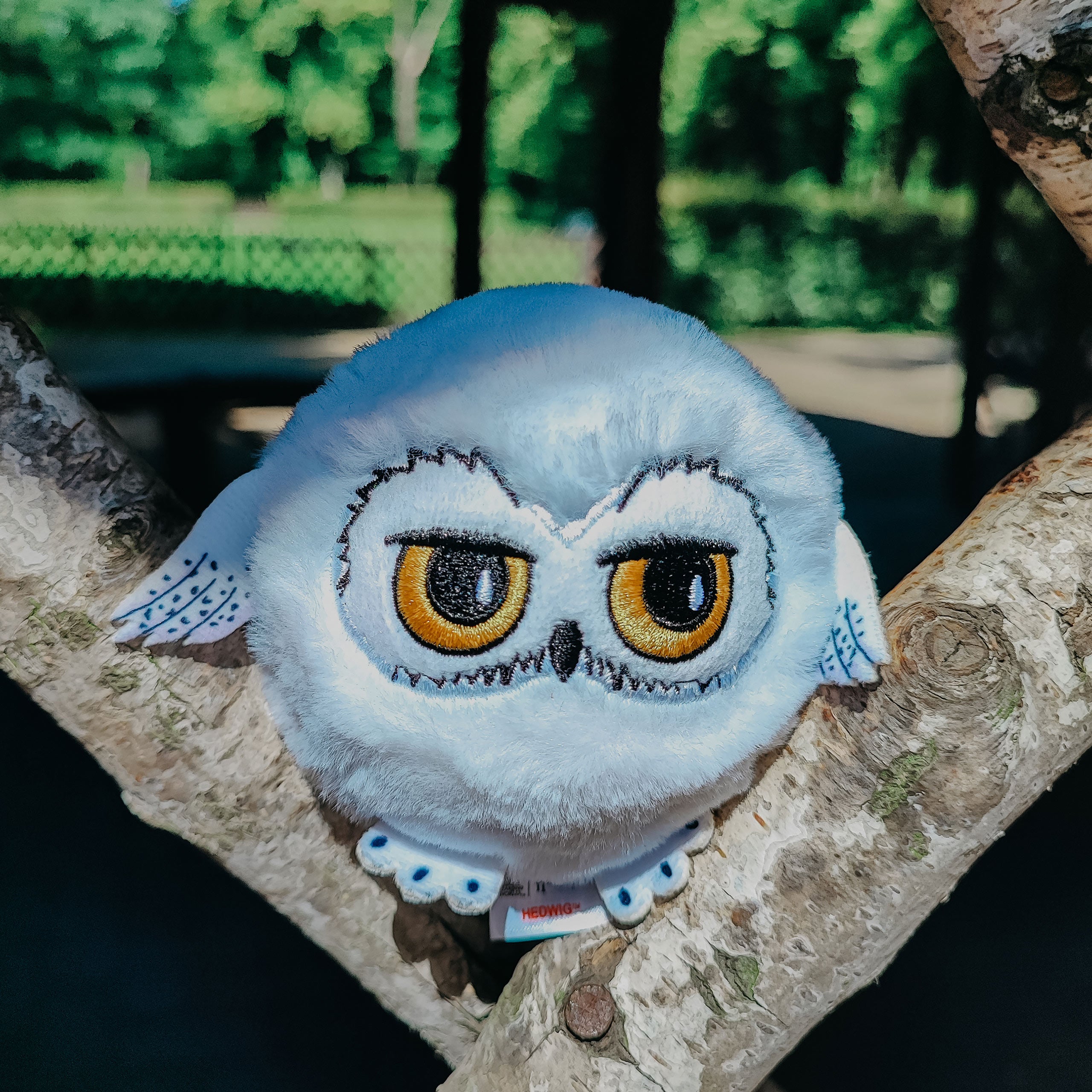 Product image Hedwig Beanie Bouncers Bouncing Plush Ball - Harry Potter