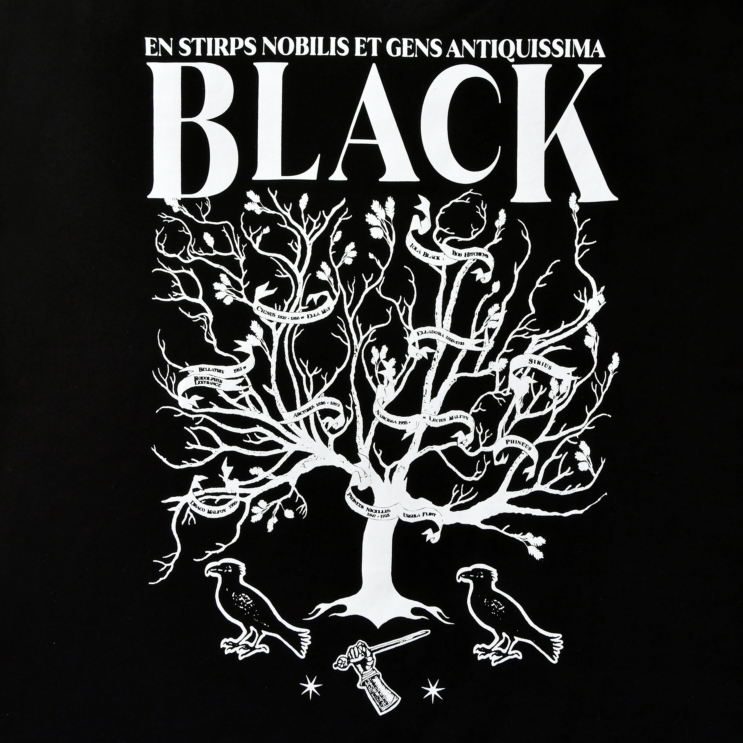 Product image Harry Potter - House of Black T-shirt black