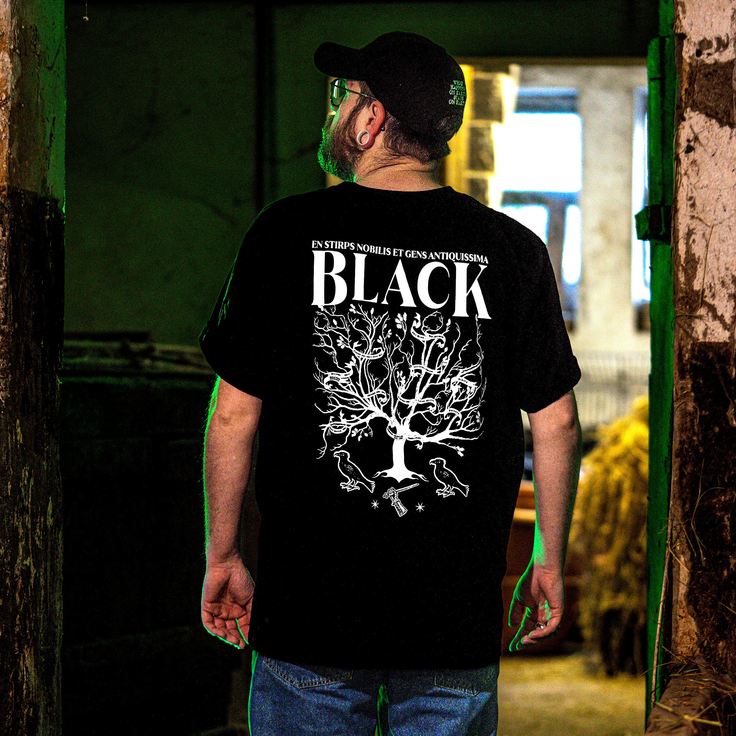 Product image Harry Potter - House of Black T-shirt black