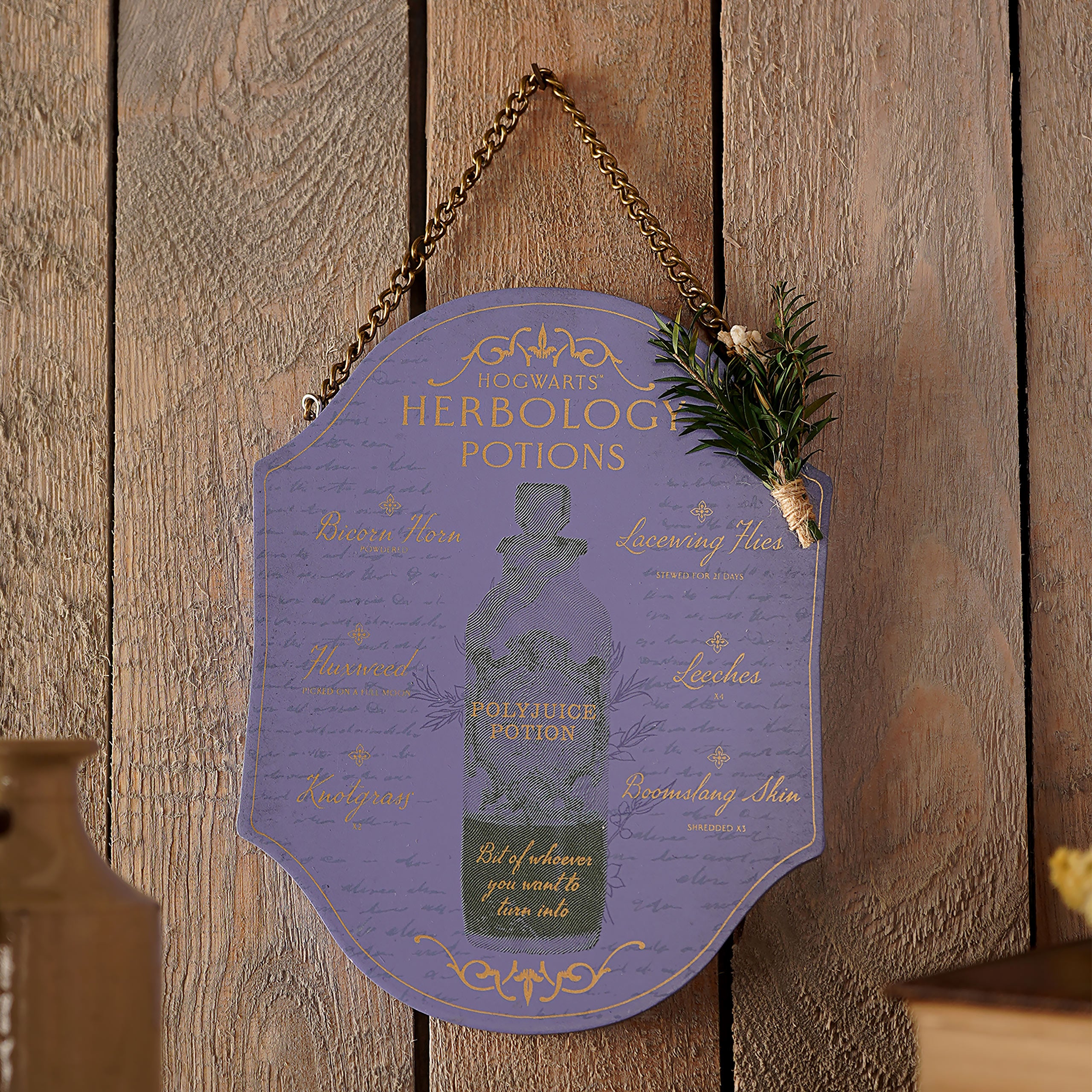 Product image Harry Potter - Herbology and Potions Wooden Wall Art