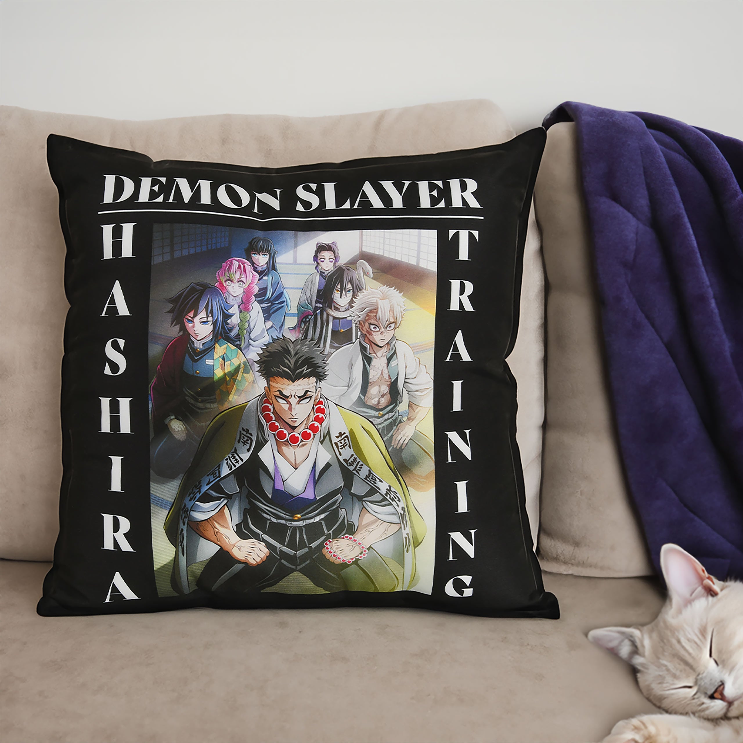Product image Demon Slayer - Hashira Training Throw Pillow