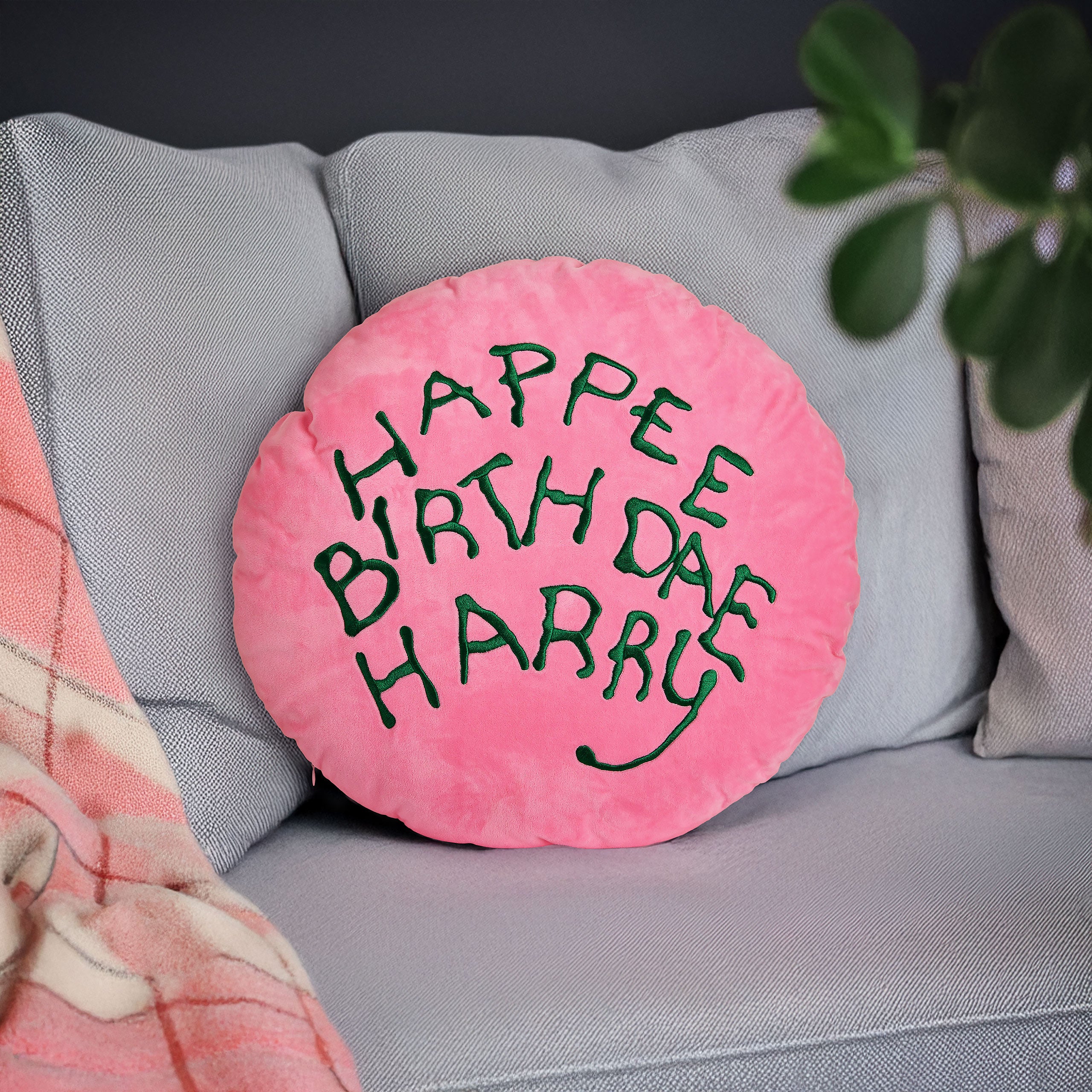 Product image Harry Potter - Happee Birthdae Harry Cushion