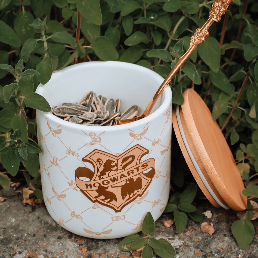 Product image Harry Potter - Hogwarts Jar Serene Collection