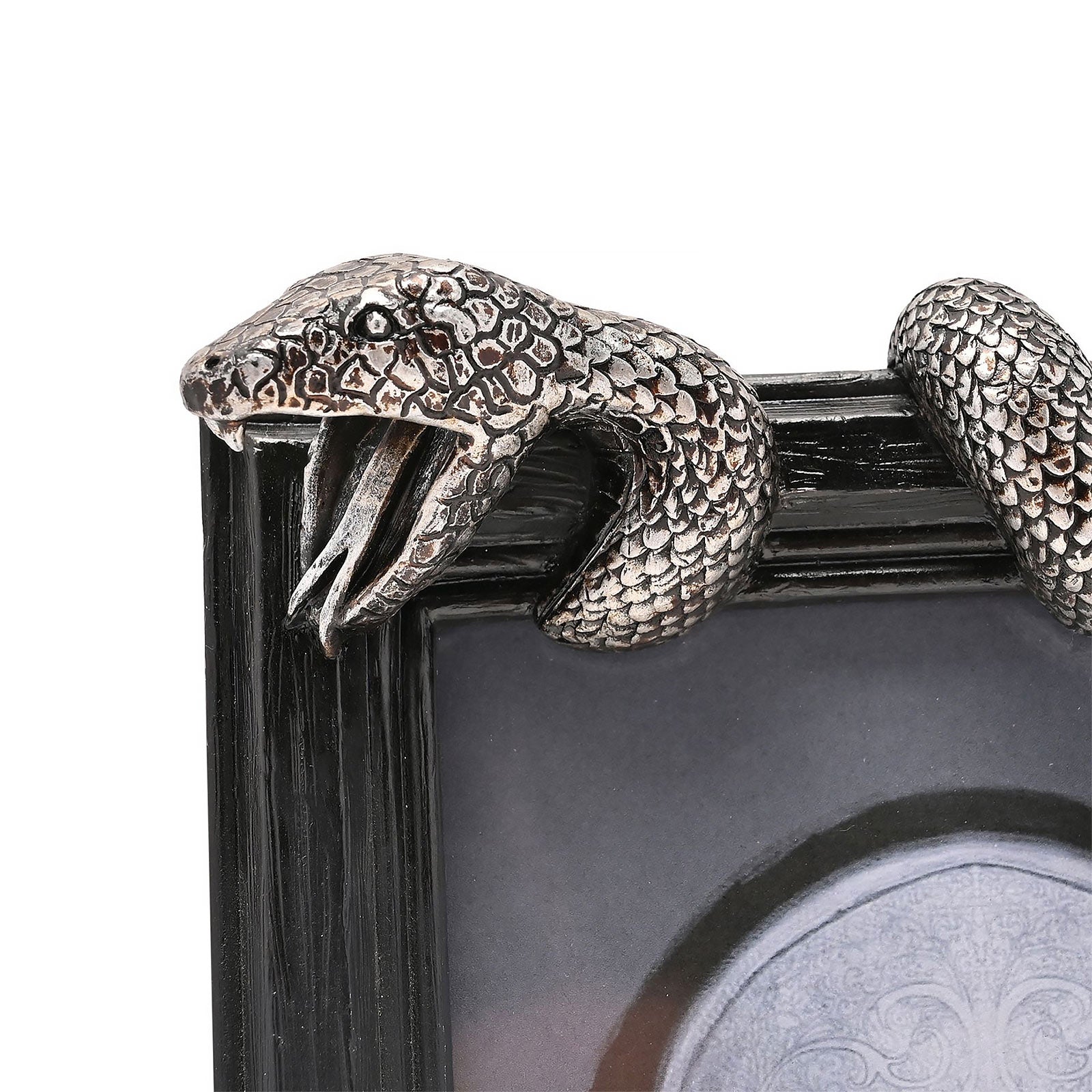 Product image Harry Potter - Nagini Picture Frame
