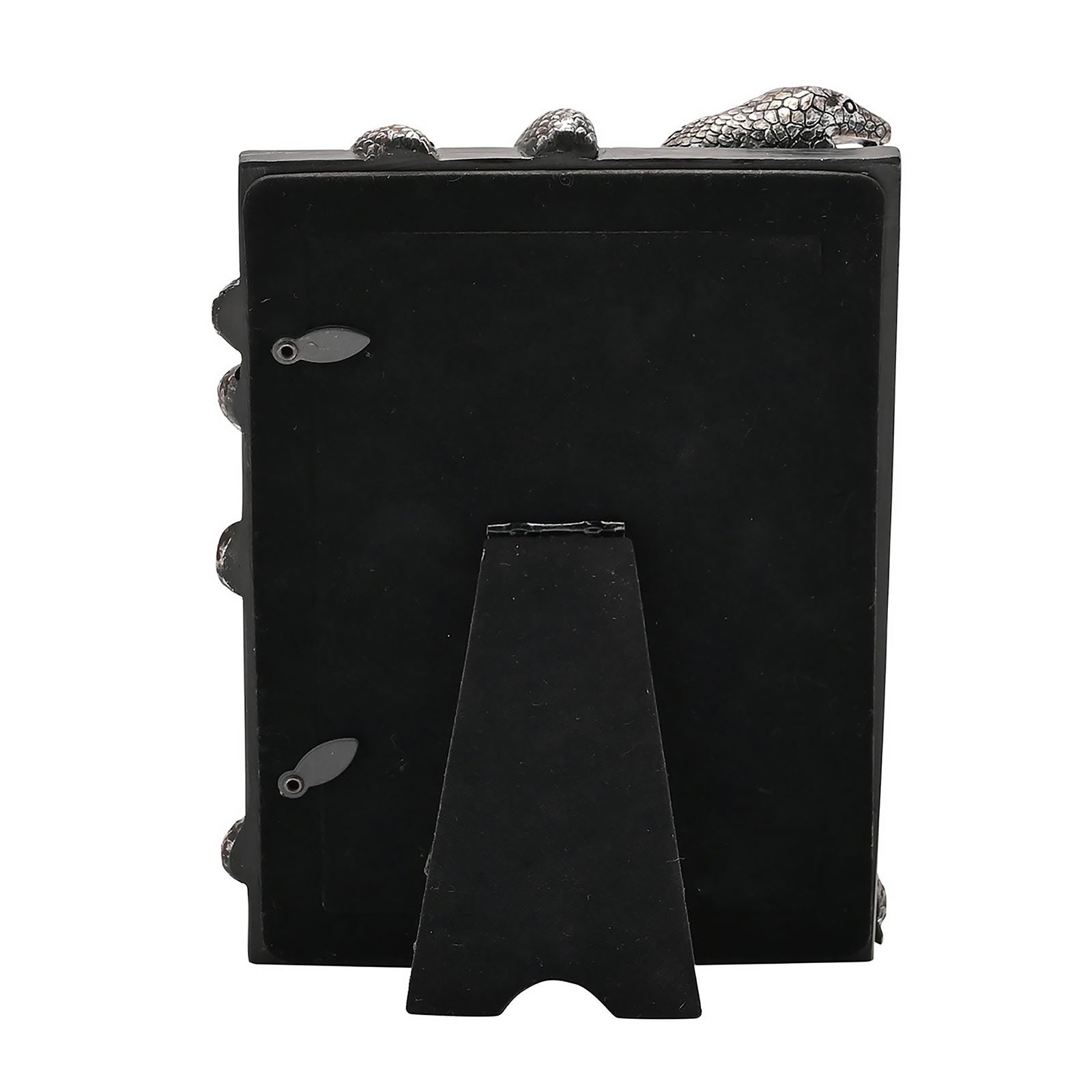 Product image Harry Potter - Nagini Picture Frame
