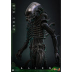 Product image Alien - Big Chap Masterpiece 1:6 Action Figure