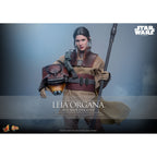 Product image Star Wars Episode VI – Leia Organa Masterpiece 1:6 Scale Action Figure