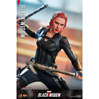 Product image Black Widow Masterpiece 1:6 Scale Action Figure Special Edition - Black Widow