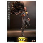 Product image DC Comics - Black Adam Action Figure 1:6