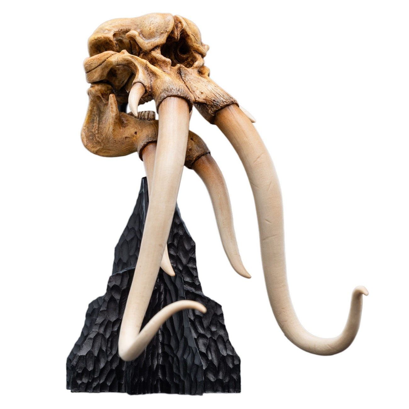Product image The Lord of the Rings - Skull of a Mumak Mini Statue