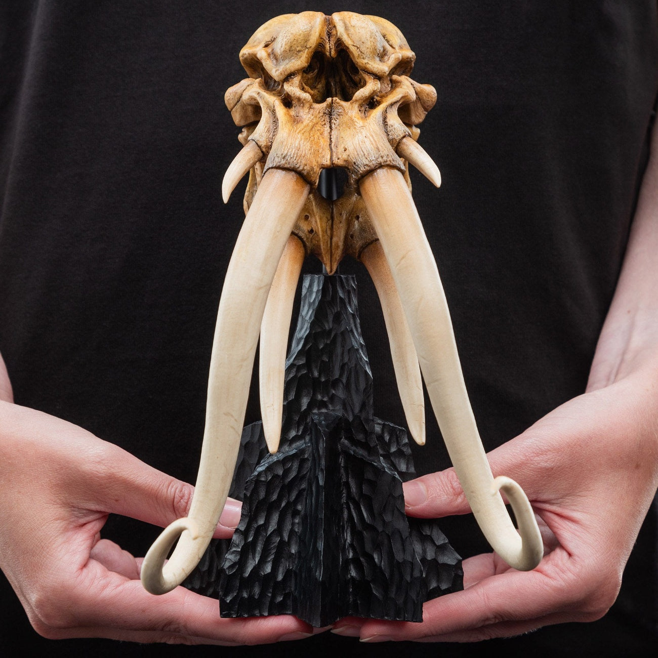 Product image The Lord of the Rings - Skull of a Mumak Mini Statue