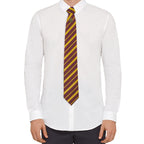 Product image Harry Potter Tie & Pin Deluxe Box Gryffindor