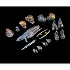 Product image Cosmic Legions Action Figure T.U.5.C.C. Experiment CC-24