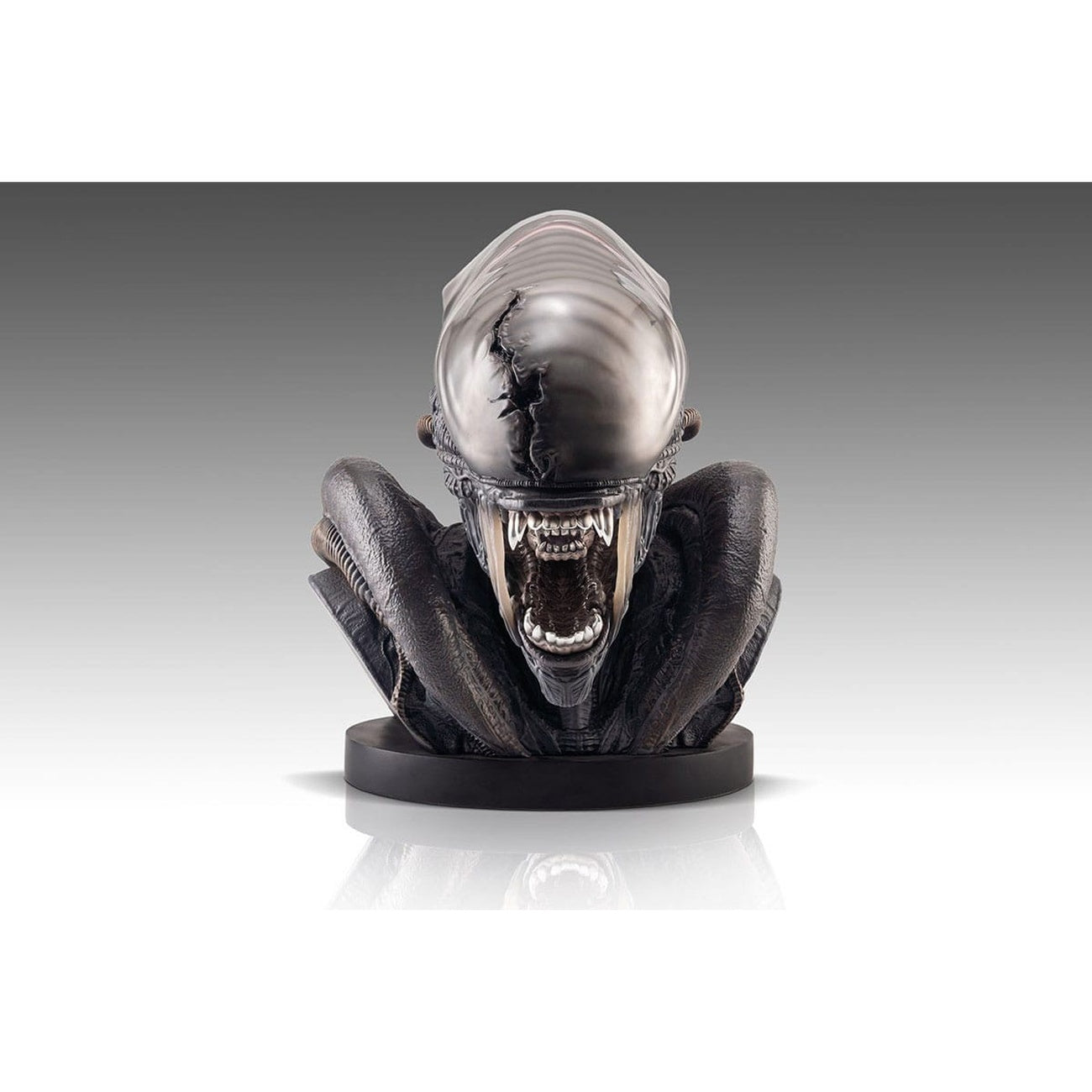 Product image Alien Romulus Bust 1/1 Xenomorph 53 cm