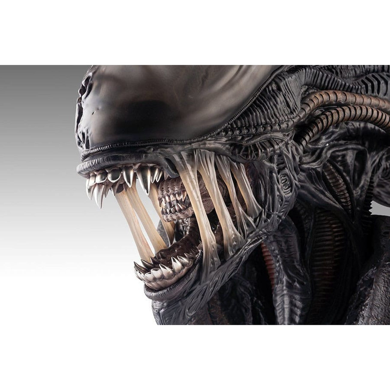 Product image Alien Romulus Bust 1/1 Xenomorph 53 cm