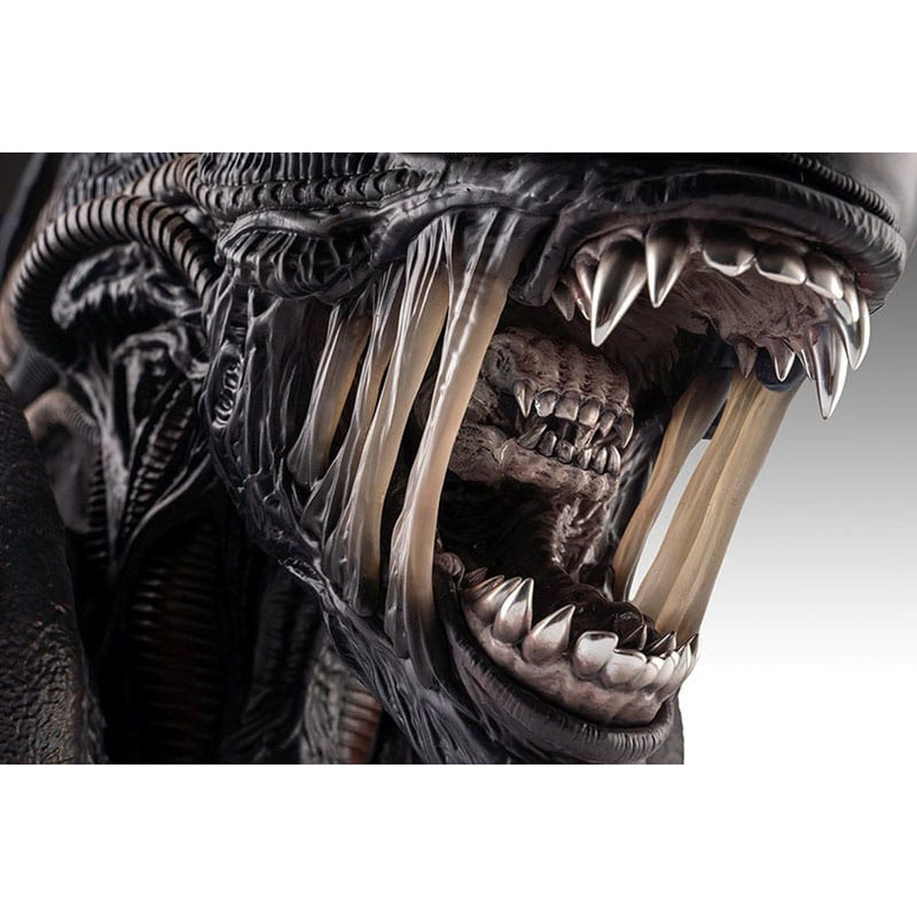 Product image Alien Romulus Bust 1/1 Xenomorph 53 cm