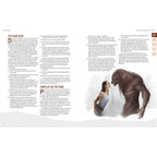 Product image Werewolf: The Apocalypse 5th Edition RPG Book Scent of