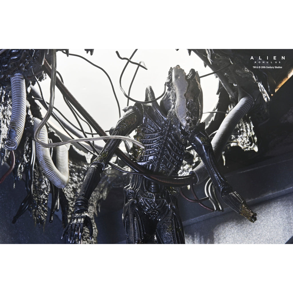 Product image Alien: Romulus Action Figure Deluxe Suspended Lab Xenomorph